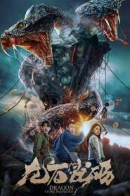 Dragon Stone Password 2024 one on netflix