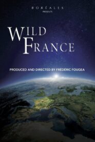 Wild France 2013 one on netflix
