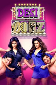 Desi Boyz 2011 one on netflix