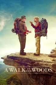 A Walk in the Woods 2015 one on netflix