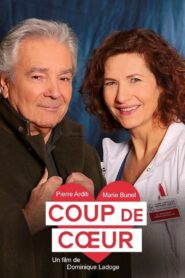 A Change of Heart 2015 one on netflix