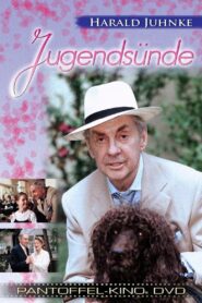 Jugendsünde 2000 one on netflix