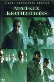 The Matrix Revolutions: Super Big Mini Models 2004 one on netflix