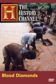 Blood Diamonds 2006 one on netflix