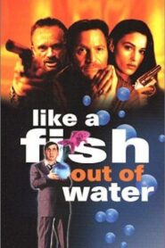 Like a Fish Out of Water 1999 one on netflix