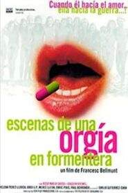 Escenes d’una orgia a Formentera 1996 one on netflix