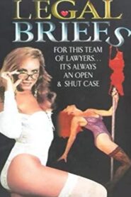 Legal Briefs 1993 one on netflix