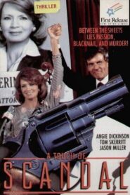 A Touch of Scandal 1984 one on netflix