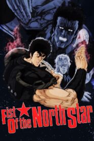 Fist of the North Star 1986 one on netflix