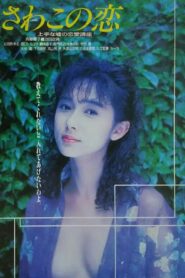 Love of Sawako 1990 one on netflix