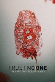 Trust No One: The Hunt for the Crypto King 2022 one on netflix