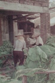 Meinung, A Town Cherishing Tradition 1981 one on netflix