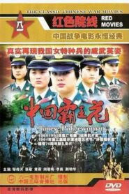 Chinese Policewoman 1990 one on netflix