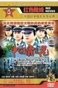 Chinese Policewoman 1990 one on netflix