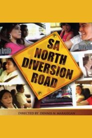 Sa North Diversion Road 2005 one on netflix