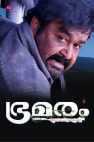 Bhramaram 2009 one on netflix