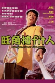 Once Upon a Time in Triad Society 1996 one on netflix
