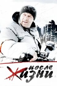 After Life 2008 one on netflix