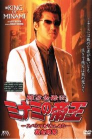 The King of Minami: Special Ver.40 2001 one on netflix