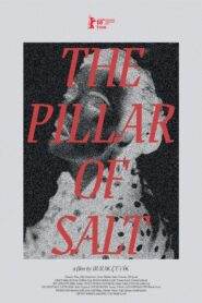 The Pillar of Salt 2018 one on netflix