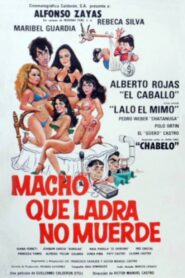 Macho que ladra no muerde 1984 one on netflix