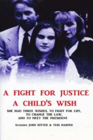 A Child’s Wish 1997 one on netflix