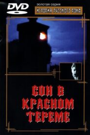 Dream of the Red Chamber 1989 one on netflix