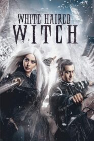 The White Haired Witch of Lunar Kingdom 2014 one on netflix