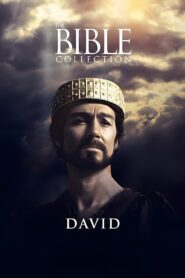 David 1997 one on netflix