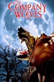 The Company of Wolves 1984 one on netflix