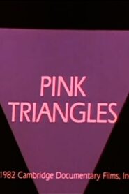 Pink Triangles 1982 one on netflix