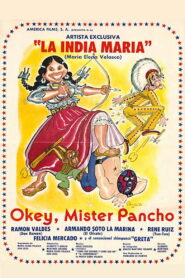 Okey, Mister Pancho 1981 one on netflix