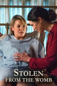 Stolen from the Womb 2014 one on netflix