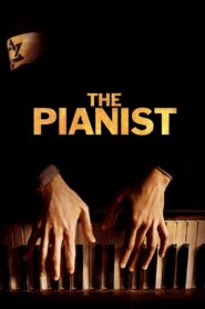 The Pianist 2002 one on netflix