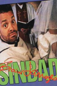 Sinbad: Brain Damaged 1991 one on netflix