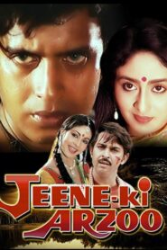 Jeene ki arzoo 1981 one on netflix