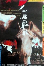 Feifei 1996 one on netflix