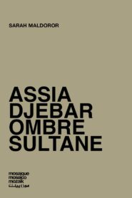 Rencontre avec Assia Djebar 1987 one on netflix