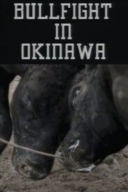 Bullfight in Okinawa 1994 one on netflix