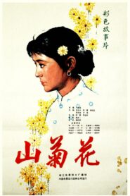 Wild Chrysanthemum 1982 one on netflix