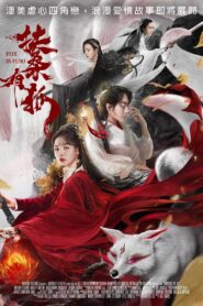 Fox in Fuso 2020 one on netflix