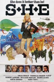 S+H+E: Security Hazards Expert 1980 one on netflix