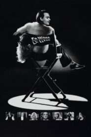 Ed Wood 1994 one on netflix
