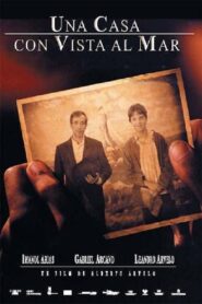 A House with a View of the Sea 2001 one on netflix