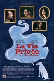 Private Life 2007 one on netflix
