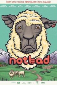 Not Bad 2013 one on netflix