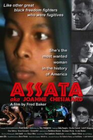 Assata aka Joanne Chesimard 2008 one on netflix