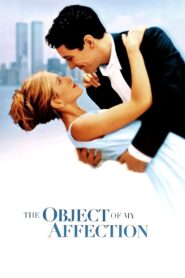 The Object of My Affection 1998 one on netflix