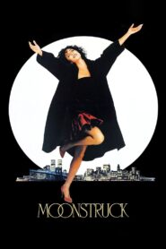 Moonstruck 1987 one on netflix