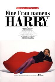 Harry and Harriet 1990 one on netflix